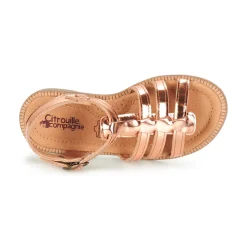 Citrouille et Compagnie - GROUFLA