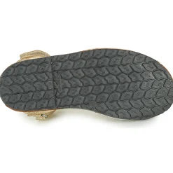 Citrouille et Compagnie - SQUOUBEL