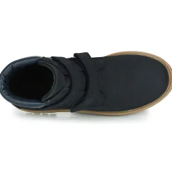 Citrouille et Compagnie - PAXA