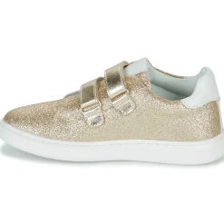 Citrouille et Compagnie - ASTINE