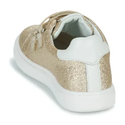 Citrouille et Compagnie - ASTINE