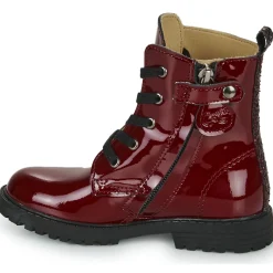 Citrouille et Compagnie - PICOTI