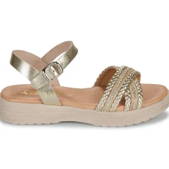 Citrouille et Compagnie - PIXI