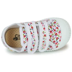 Citrouille et Compagnie - MINOT