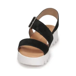 Citrouille et Compagnie - PIPOTI