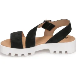 Citrouille et Compagnie - PIPOTI