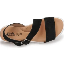 Citrouille et Compagnie - PIPOTI