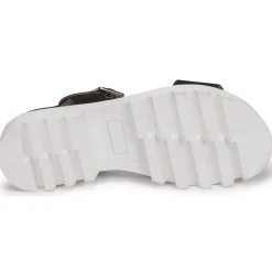 Citrouille et Compagnie - PIPOTI