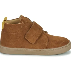 Citrouille et Compagnie - FOJAMO