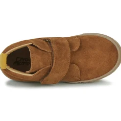 Citrouille et Compagnie - FOJAMO