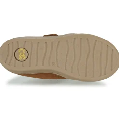 Citrouille et Compagnie - FOJAMO