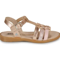 Citrouille et Compagnie - ROLUI