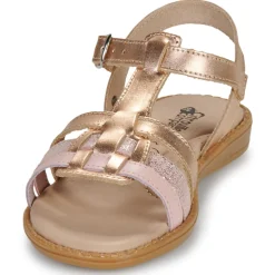 Citrouille et Compagnie - ROLUI