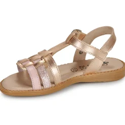 Citrouille et Compagnie - ROLUI