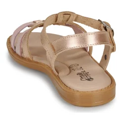 Citrouille et Compagnie - ROLUI