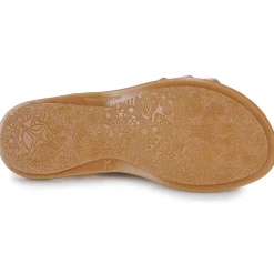 Citrouille et Compagnie - ROLUI