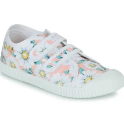 Citrouille et Compagnie - MINOT