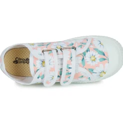 Citrouille et Compagnie - MINOT