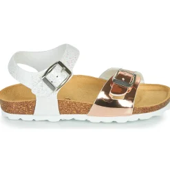 Citrouille et Compagnie - RELUNE