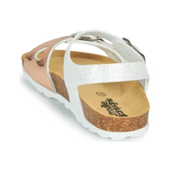 Citrouille et Compagnie - RELUNE