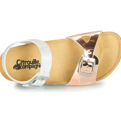 Citrouille et Compagnie - RELUNE