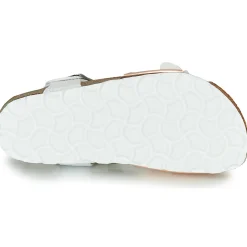 Citrouille et Compagnie - RELUNE