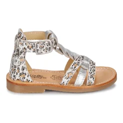 Citrouille et Compagnie - GITANOLO