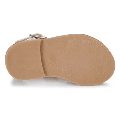 Citrouille et Compagnie - GITANOLO