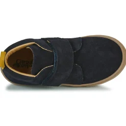 Citrouille et Compagnie - FOJAMO