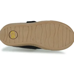 Citrouille et Compagnie - FOJAMO