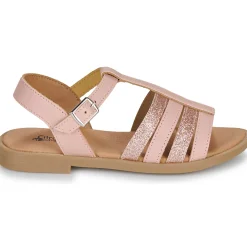 Citrouille et Compagnie - MIMOSA