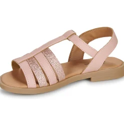 Citrouille et Compagnie - MIMOSA