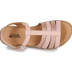 Citrouille et Compagnie - MIMOSA