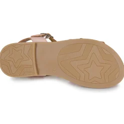 Citrouille et Compagnie - MIMOSA