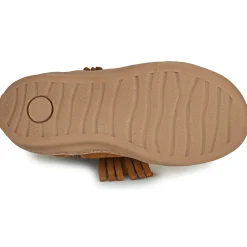 Citrouille et Compagnie - PIDO