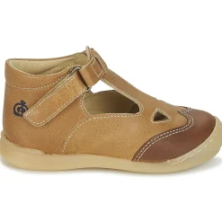 Citrouille et Compagnie - IARTIALAN