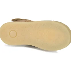 Citrouille et Compagnie - IARTIALAN