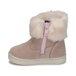 Citrouille et Compagnie - PALADOU