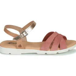 Citrouille et Compagnie - OBILOU