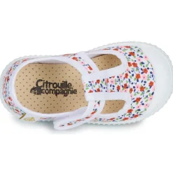 Citrouille et Compagnie - ALUNA