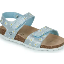 Citrouille et Compagnie - SUPERDAY