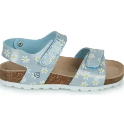 Citrouille et Compagnie - SUPERDAY