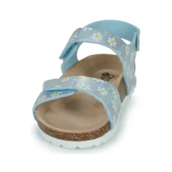 Citrouille et Compagnie - SUPERDAY