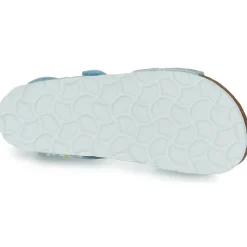 Citrouille et Compagnie - SUPERDAY