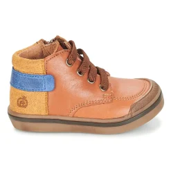 Citrouille et Compagnie - JOUIZAE