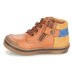 Citrouille et Compagnie - JOUIZAE