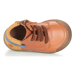 Citrouille et Compagnie - JOUIZAE