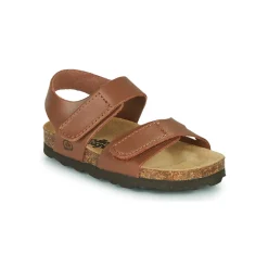 Citrouille et Compagnie - BELLI JOE