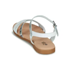 Citrouille et Compagnie - OBINOU