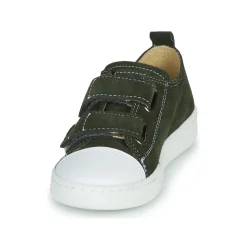 Citrouille et Compagnie - NADIR